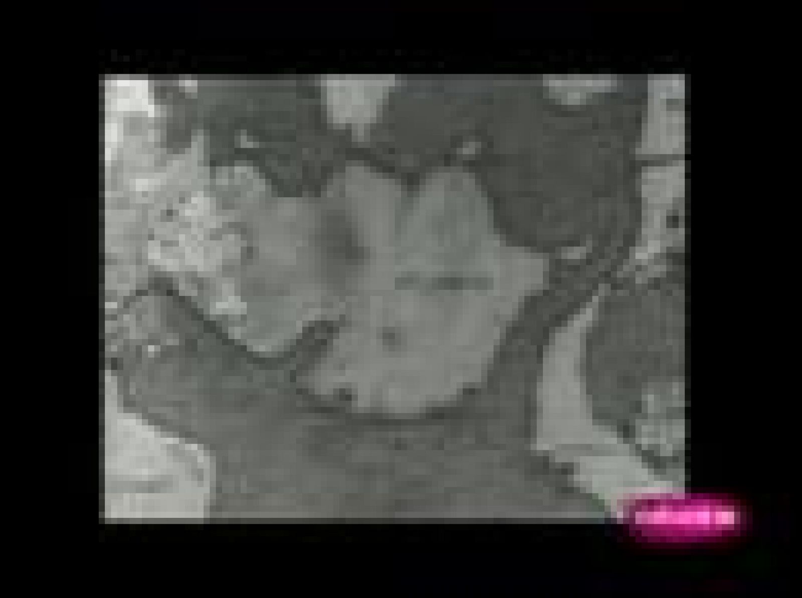  Archivo antología: Lo que tú quieras ver