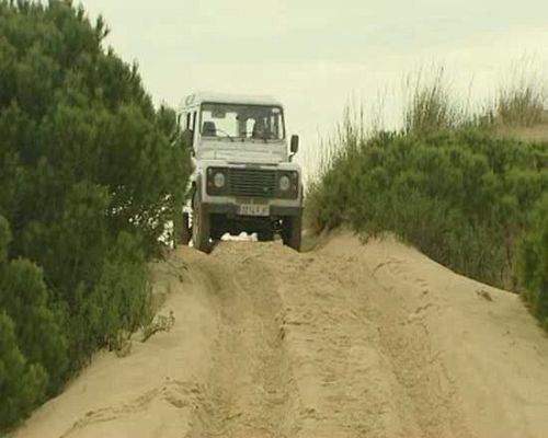 El escarabajo verde - Las dunas móviles de Doñana