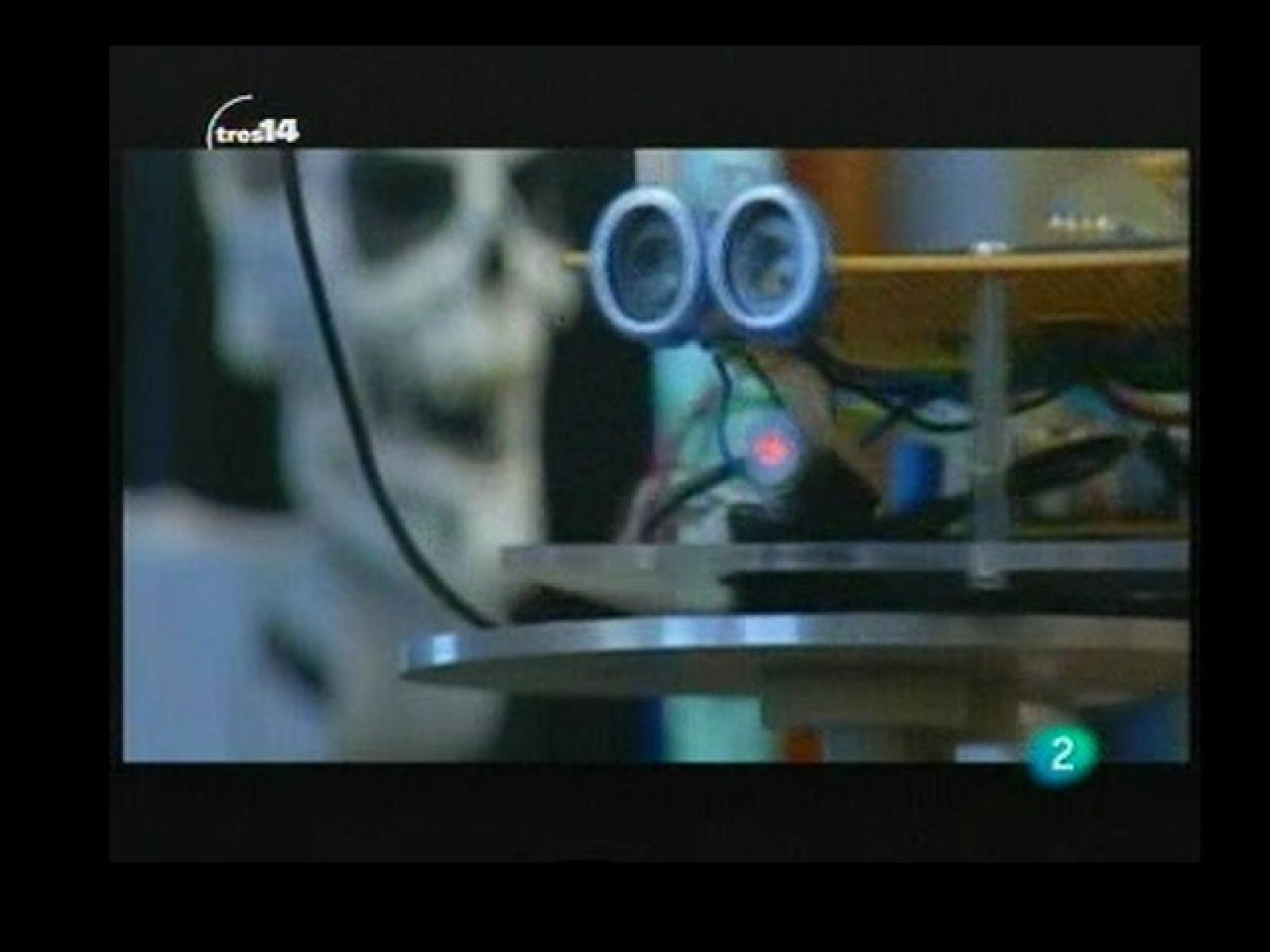 Curiosidades (biónico)