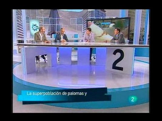 Para todos La 2 - Debates: Las gaviotas