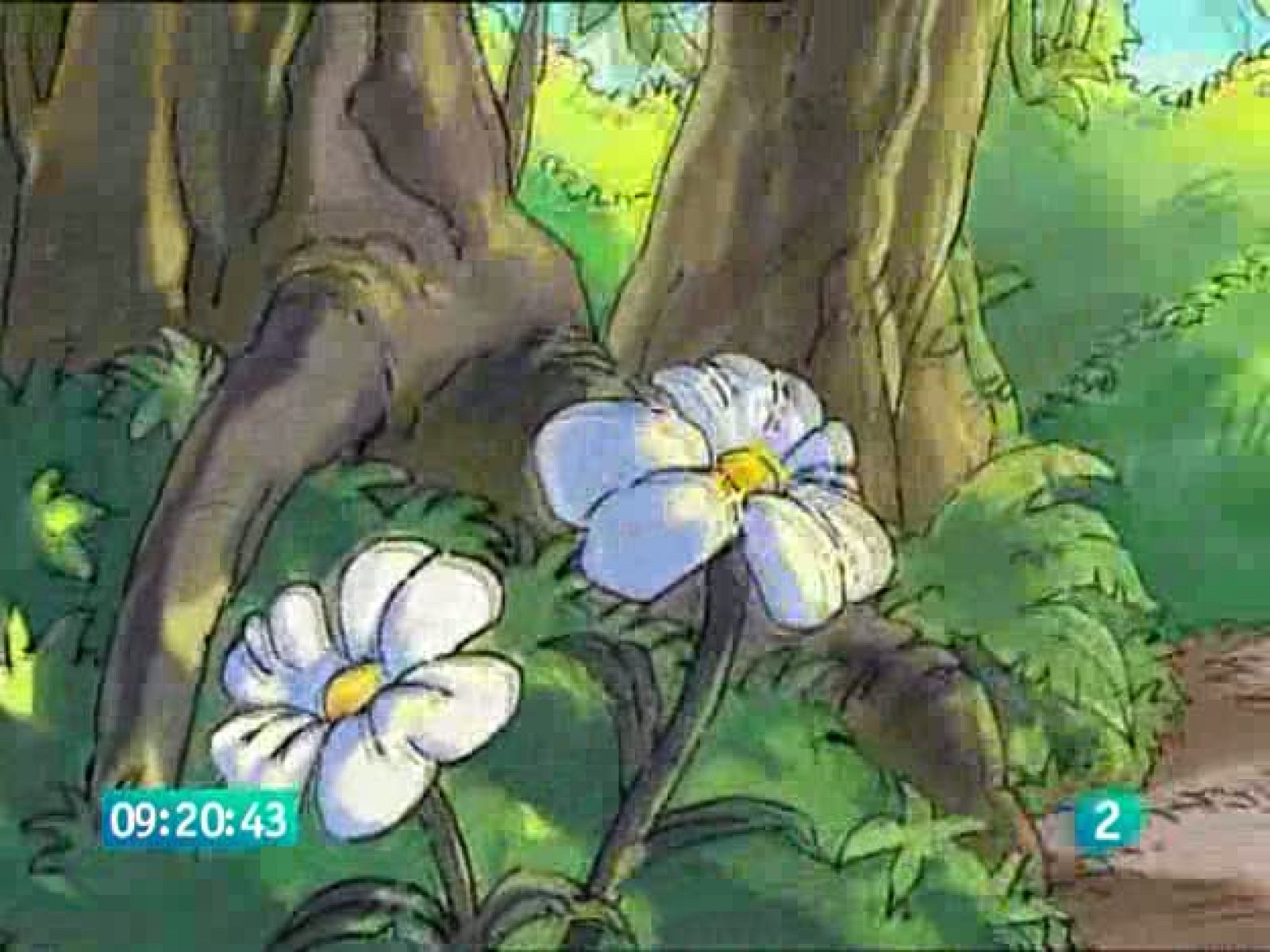 Arthur - Arthur | Ver