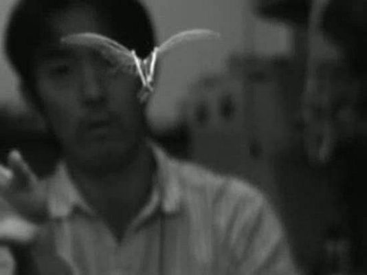 Ciencia y tecnología en Rtve.es - La mariposa artificial