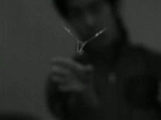 Ciencia y tecnología en Rtve.es - El vuelo de una mariposa artificial