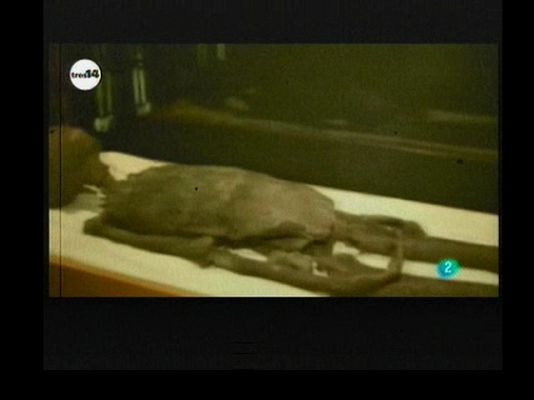 tres14 - Últimas noticias