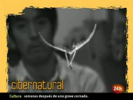 Natural - La primavera se va con una mariposa