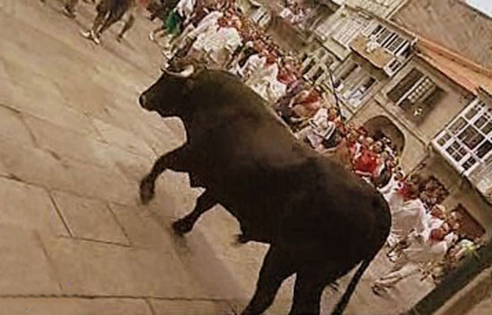 España Directo - La Festa do Boi | Ver