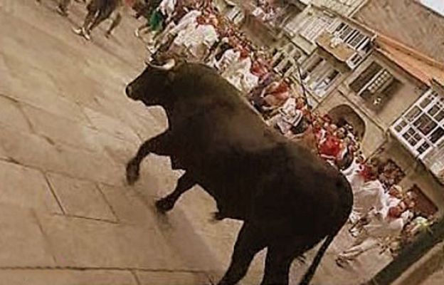 España Directo - La Festa do Boi