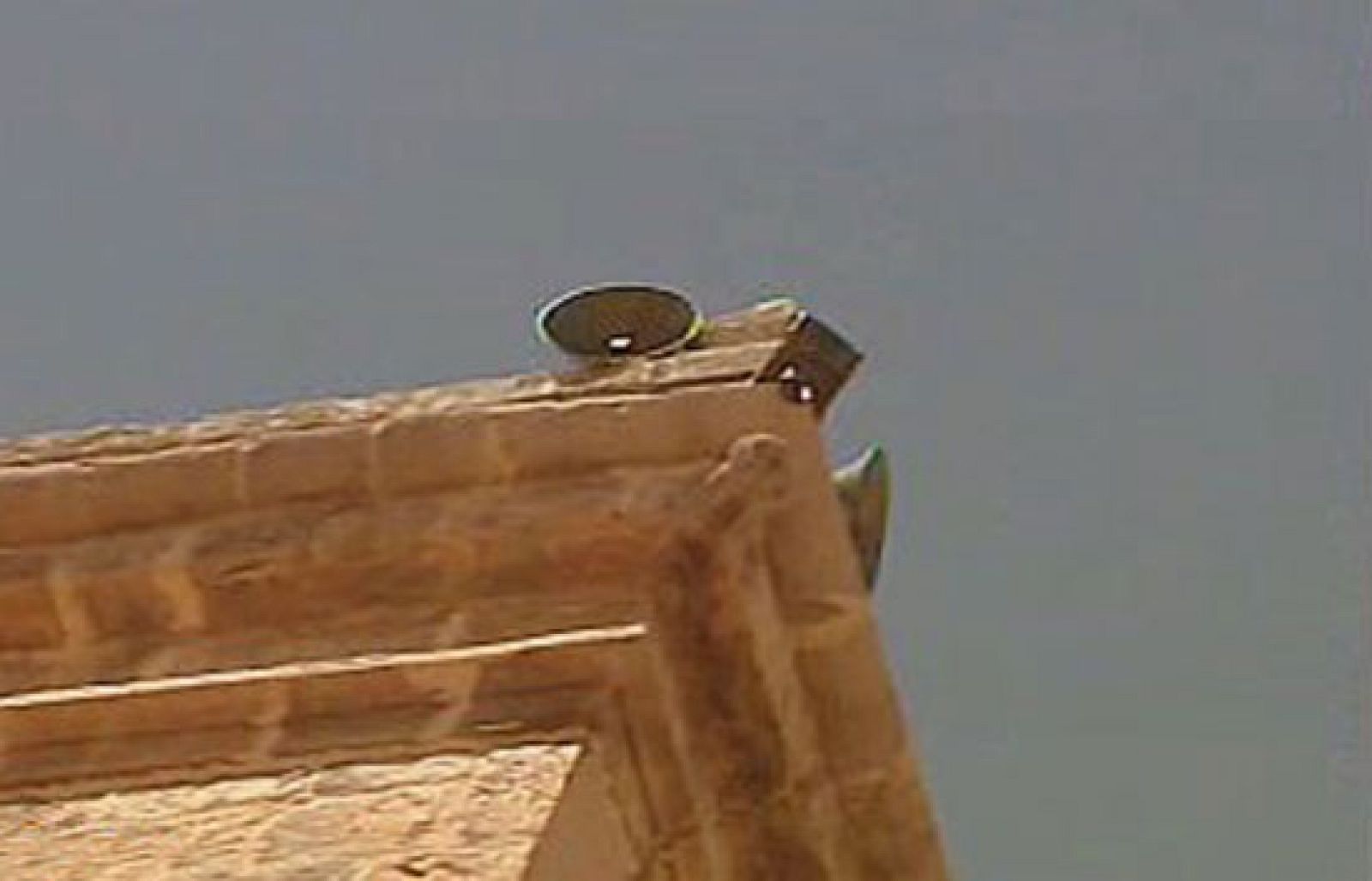 España Directo - Mi carro me lo robaron | Ver