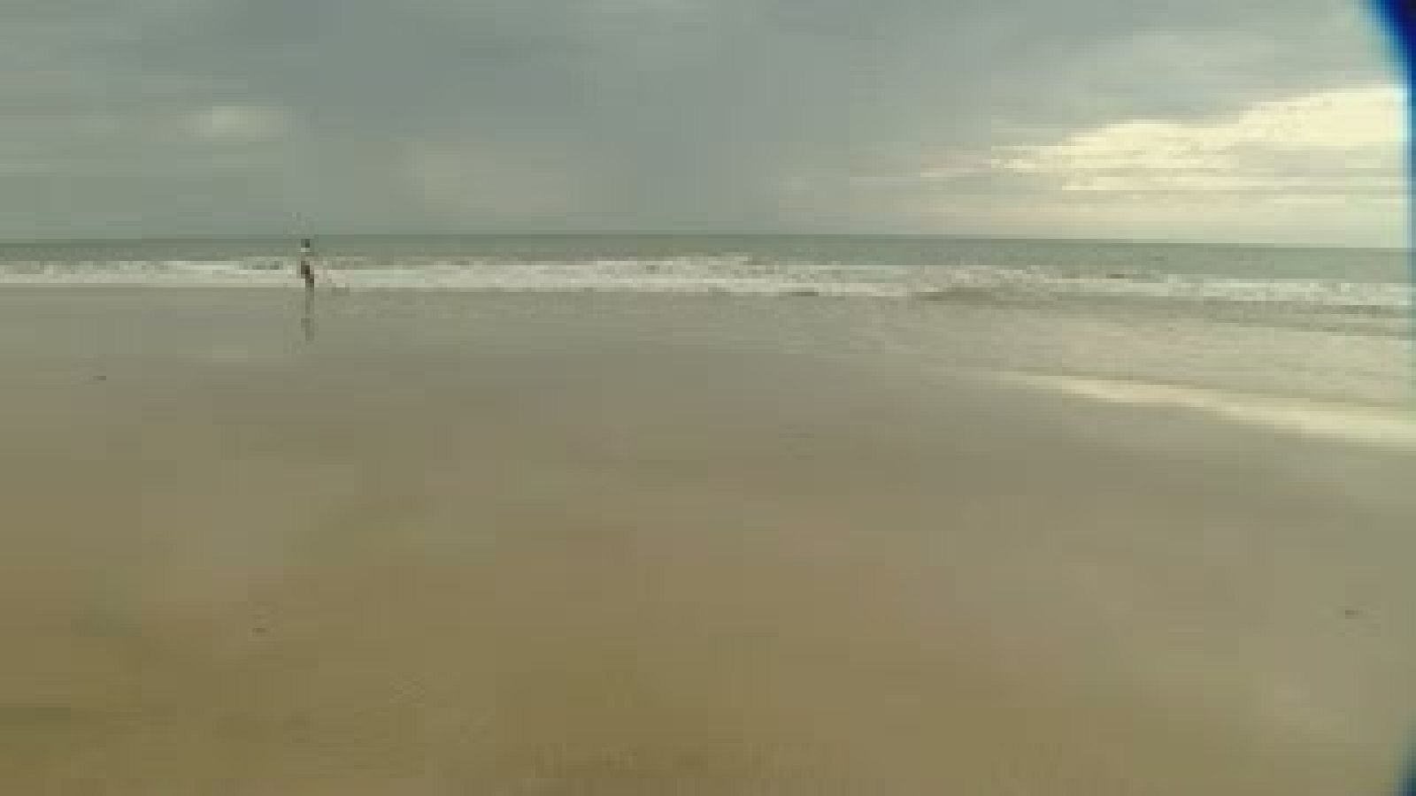 Coquineros en las playas de Doñana
