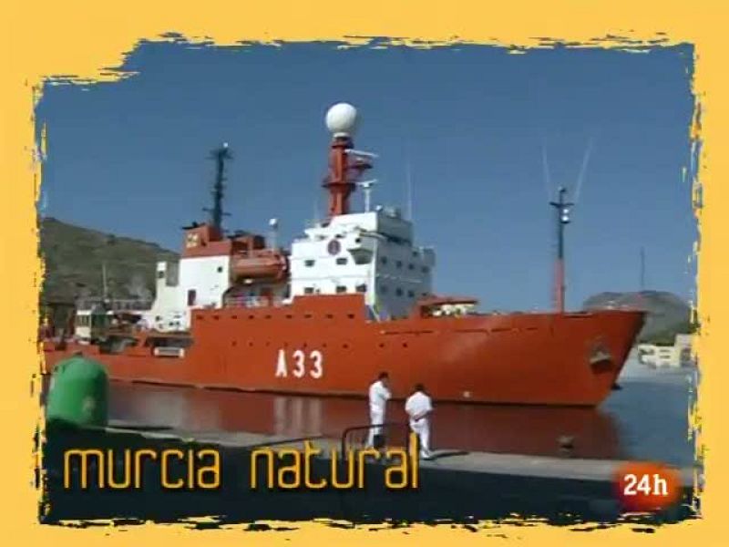 Natural - La memoria de los océanos - Natural | Ver