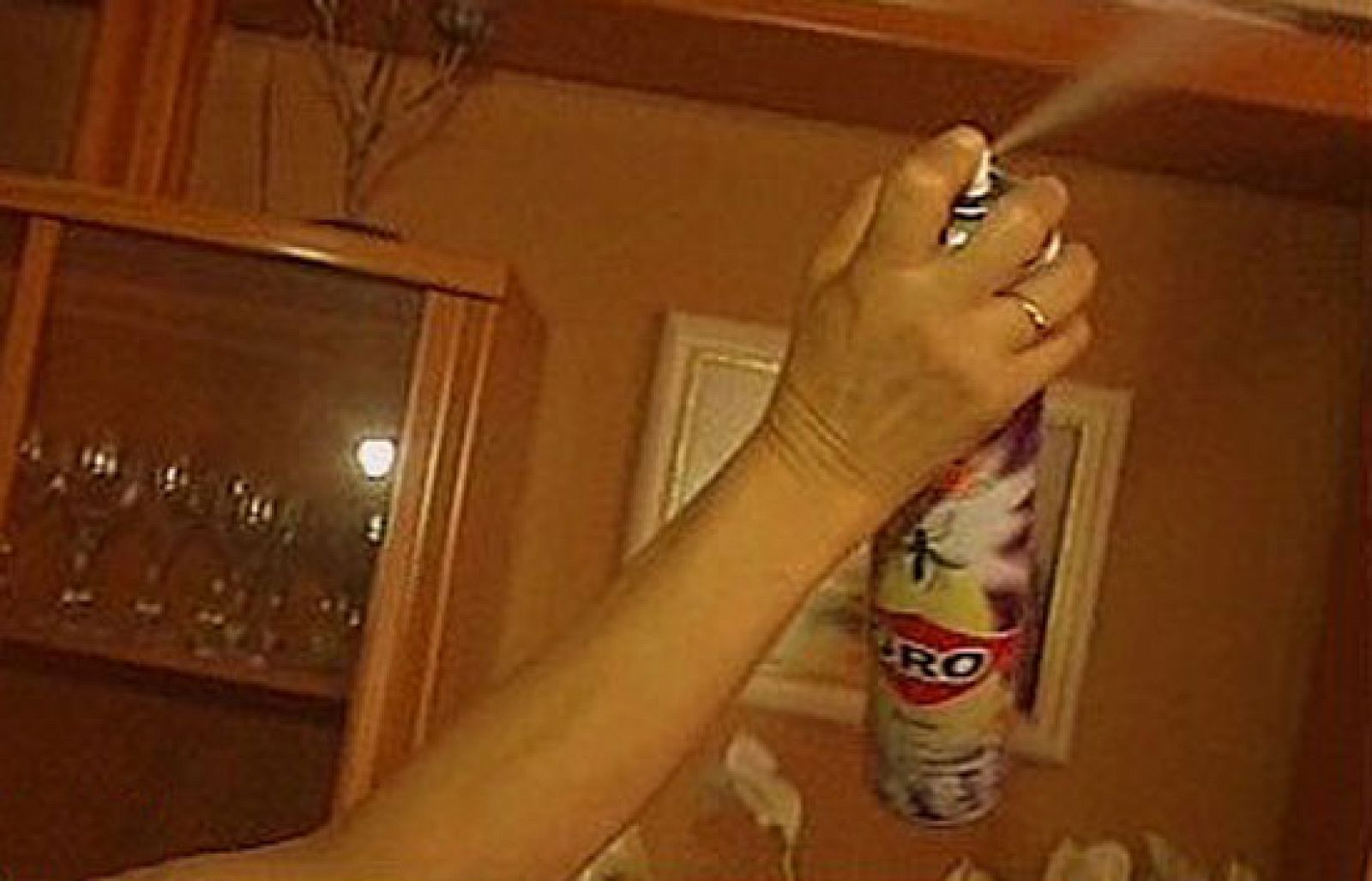 España Directo - Acribillados por los mosquitos | Ver