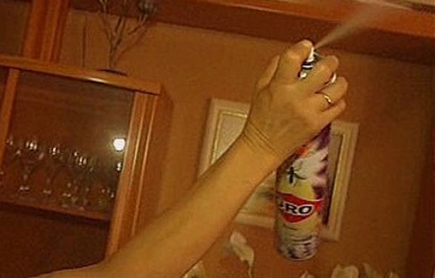 España Directo - Acribillados por los mosquitos