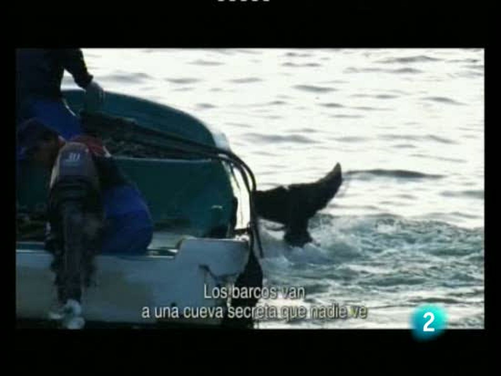 San Sebastián acoge el Surf Film Festival | Ver