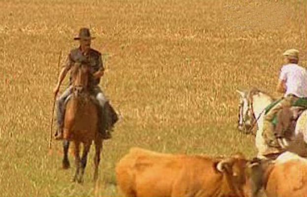 España Directo - Una de vaqueros