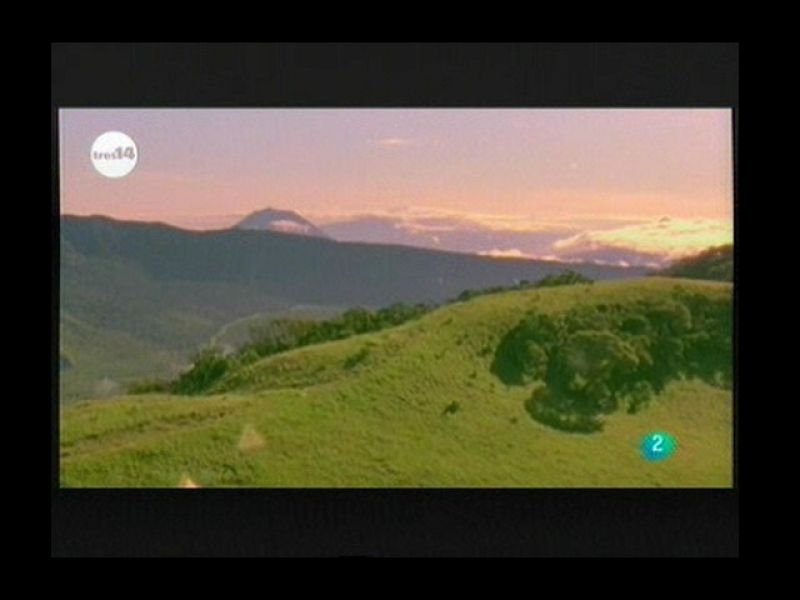 Últimas noticias (barcos)