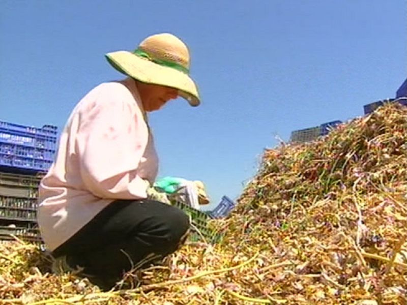 Polémica en Andalucía por las palabras del empresario de la construcción, Luis del Rivero, sobre el PER | Ver
