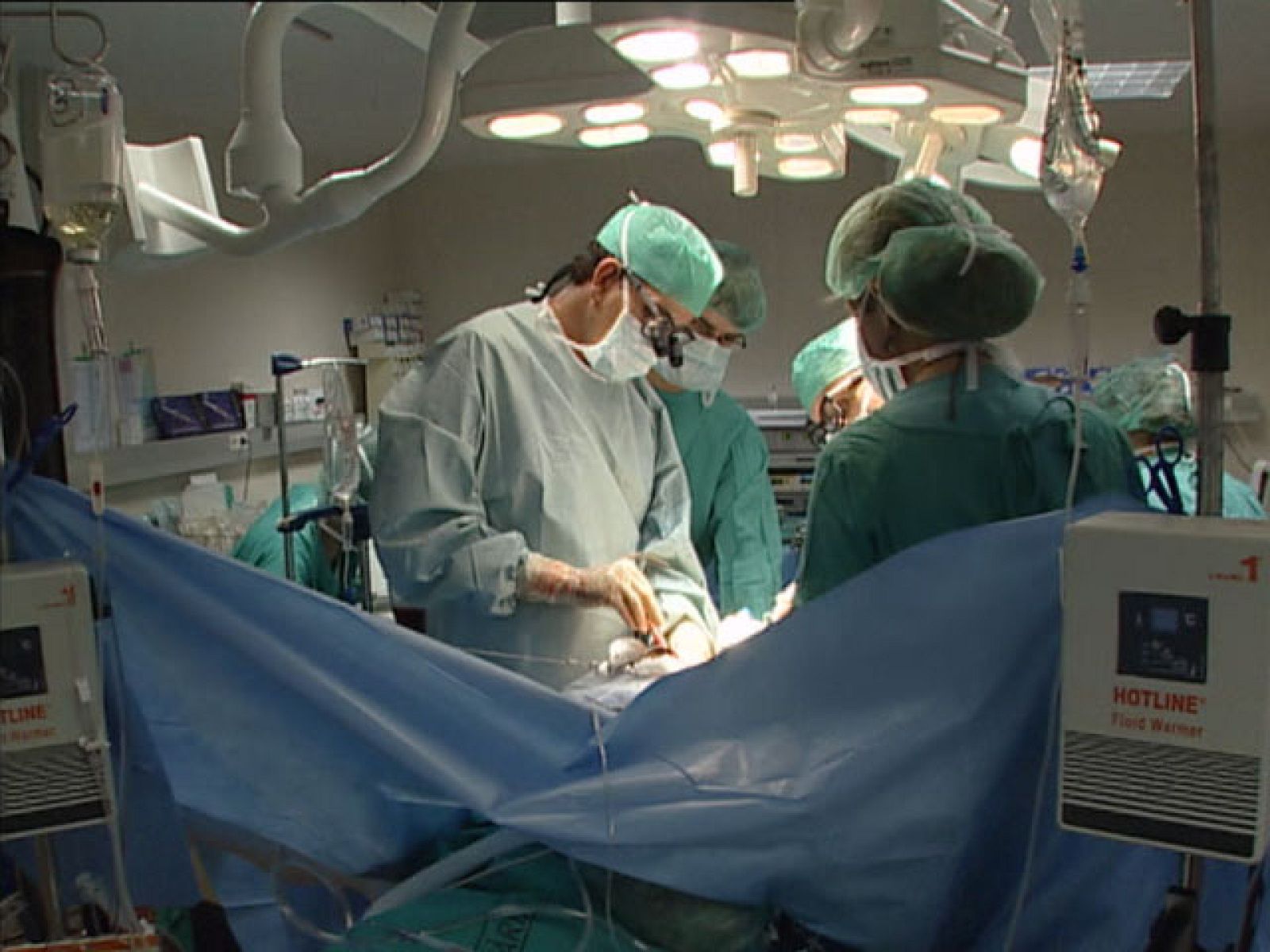 Príncipe de Asturias de Cooperación para la Organización Nacional de Trasplantes y la Transplantation Society - Premios Princesa de Asturias | Ver