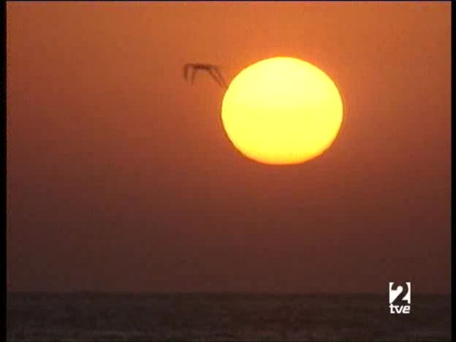 A pedir de boca - Vinos de Jerez - A pedir de boca | Ver