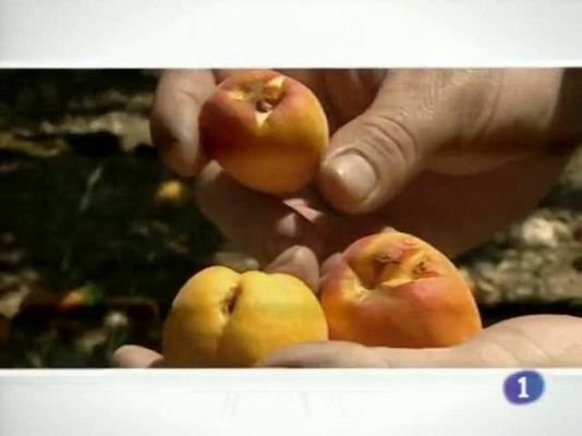 Noticias de Castilla-La Mancha - Noticias de Castilla-La Mancha - 17/06/10