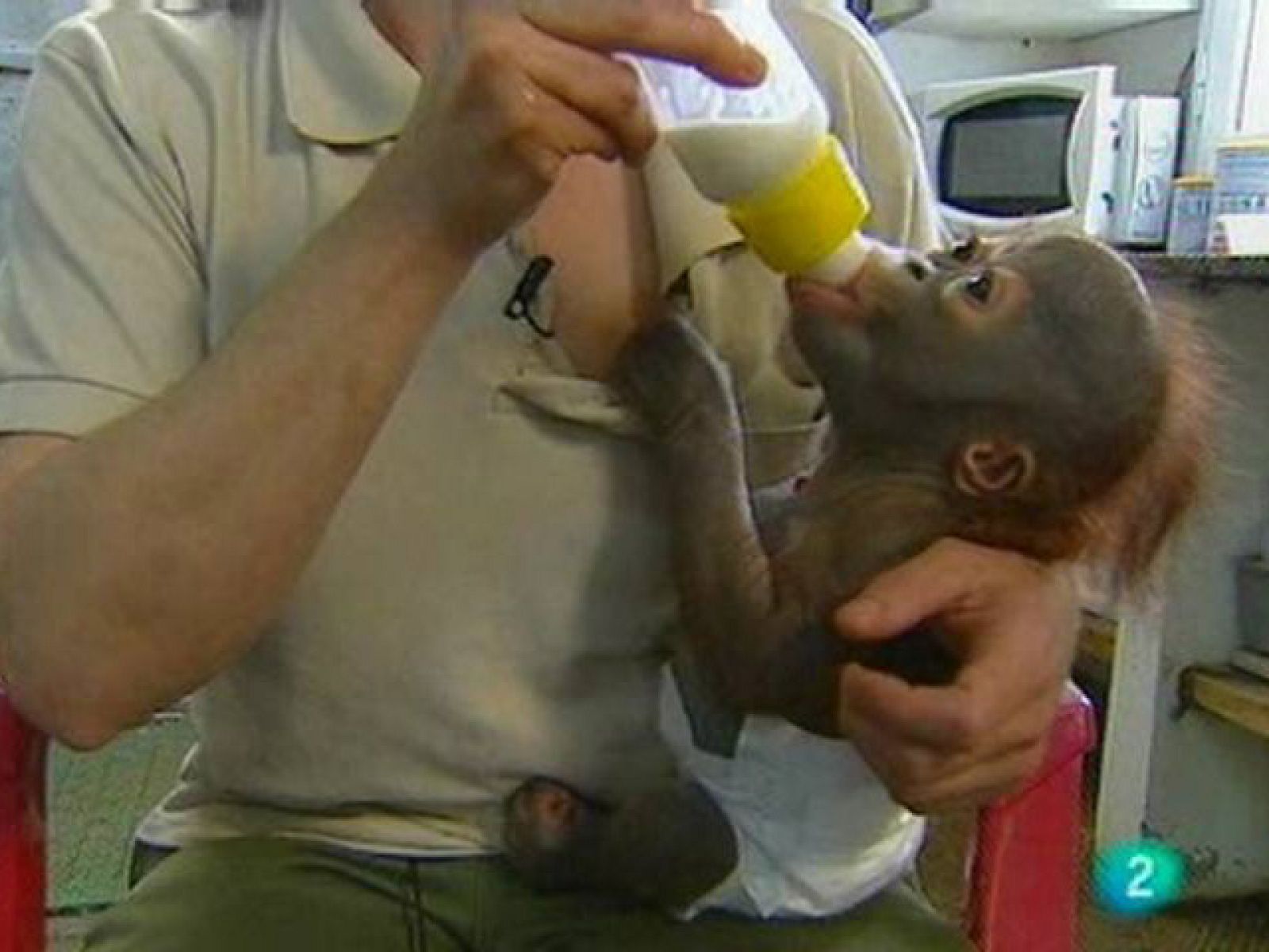 Reportaje: Zoo Barcelona