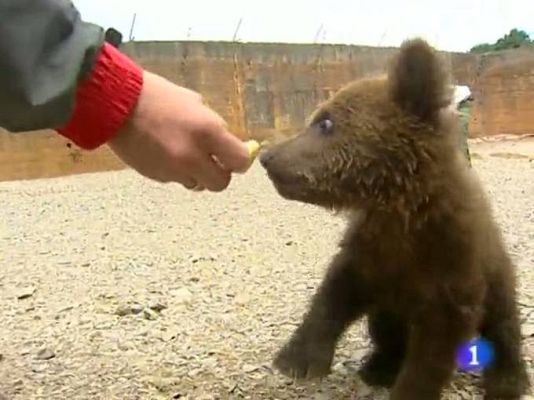 TeleCantabria - Telecantabria - 18/06/10