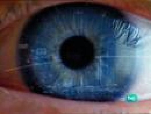 Archivos Tema - El testigo incómodo