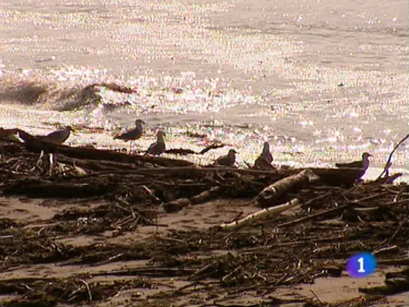 Panorama regional - 21/06/10 - Panorama Regional | Ver