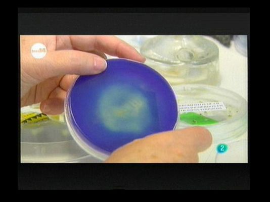 tres14 - Memorias más seguras