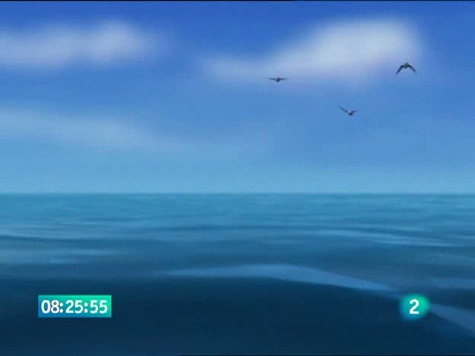 ¡Bucea Olly! - Bucea Olly | Ver