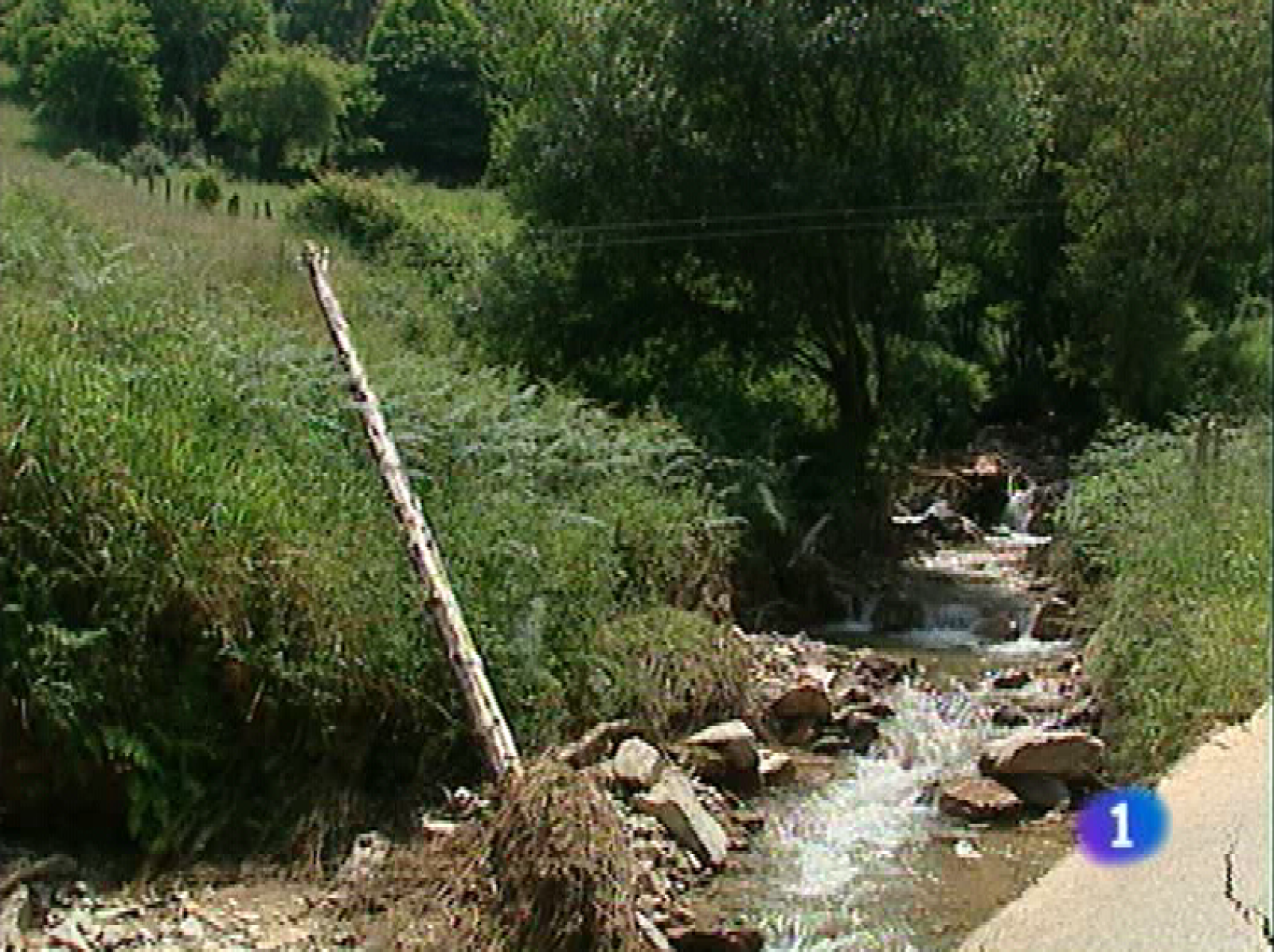 Panorama regional - 23/06/10 - Panorama Regional | Ver