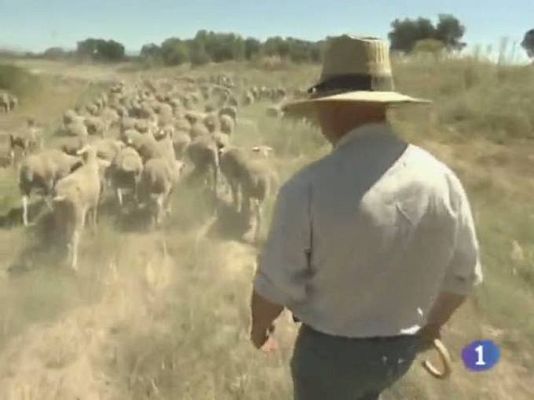 Noticias de Castilla-La Mancha - Noticias de Castilla-La Mancha - 23/06/10