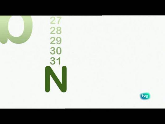 Biodiario - Escarabajos enamorados