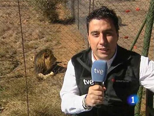  - Cómo es un día sin partido