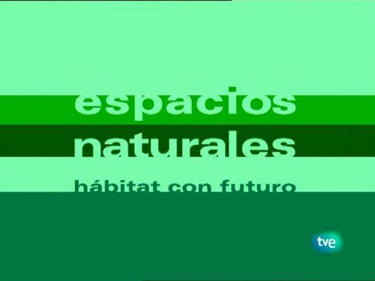 Espacios naturales - Sierra de Guadarrama
