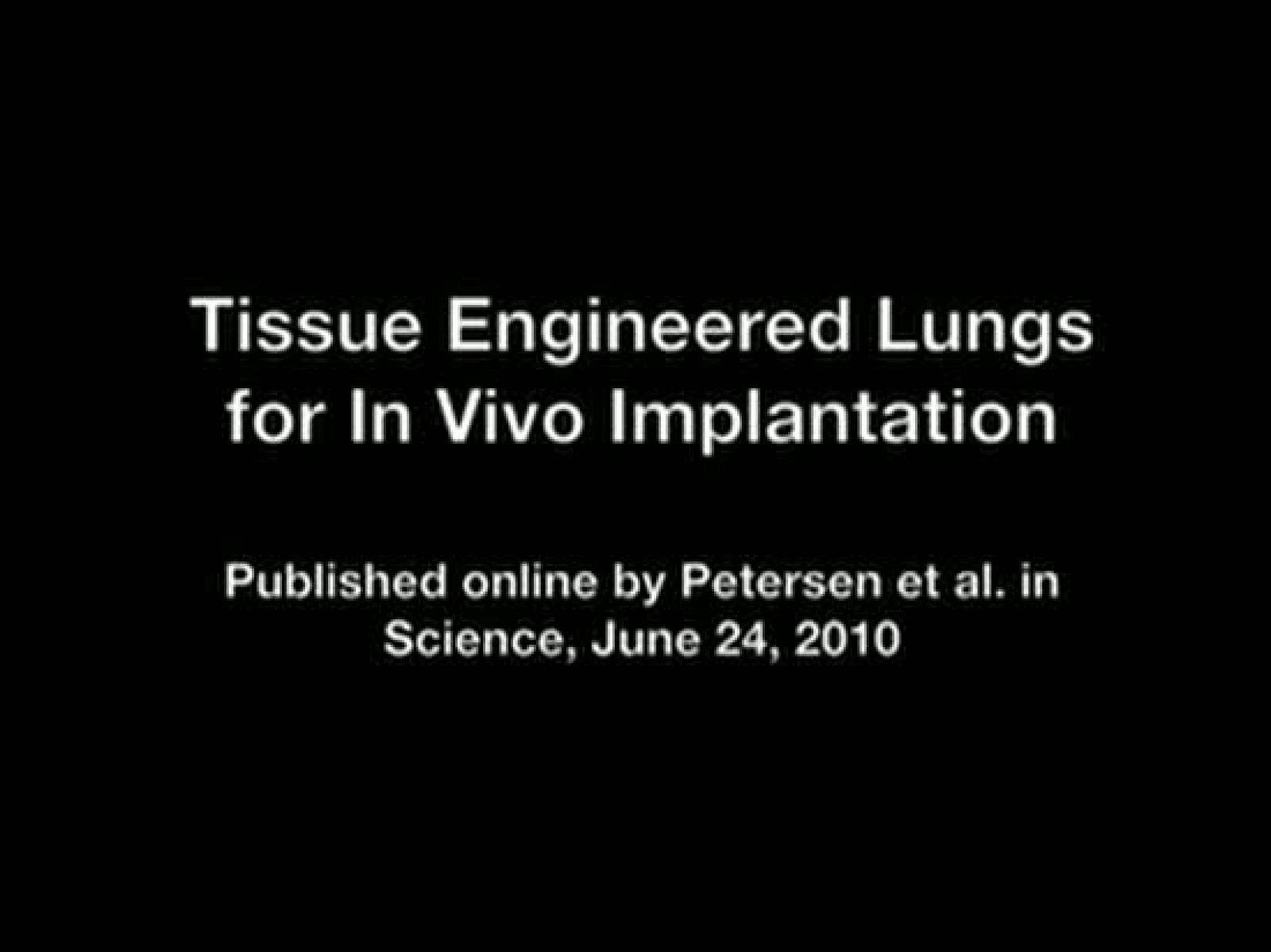 Vídeo explicativo en el que se narra el proceso de 'descelularización' mediante el cual se logra crear un órgano que es aceptado por el organismo de la rata. El pulmón funcionó en la rata durante dos horas.