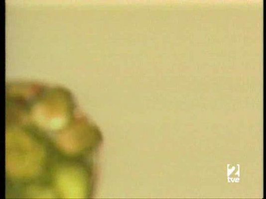 A pedir de boca - Mejillón de Galicia