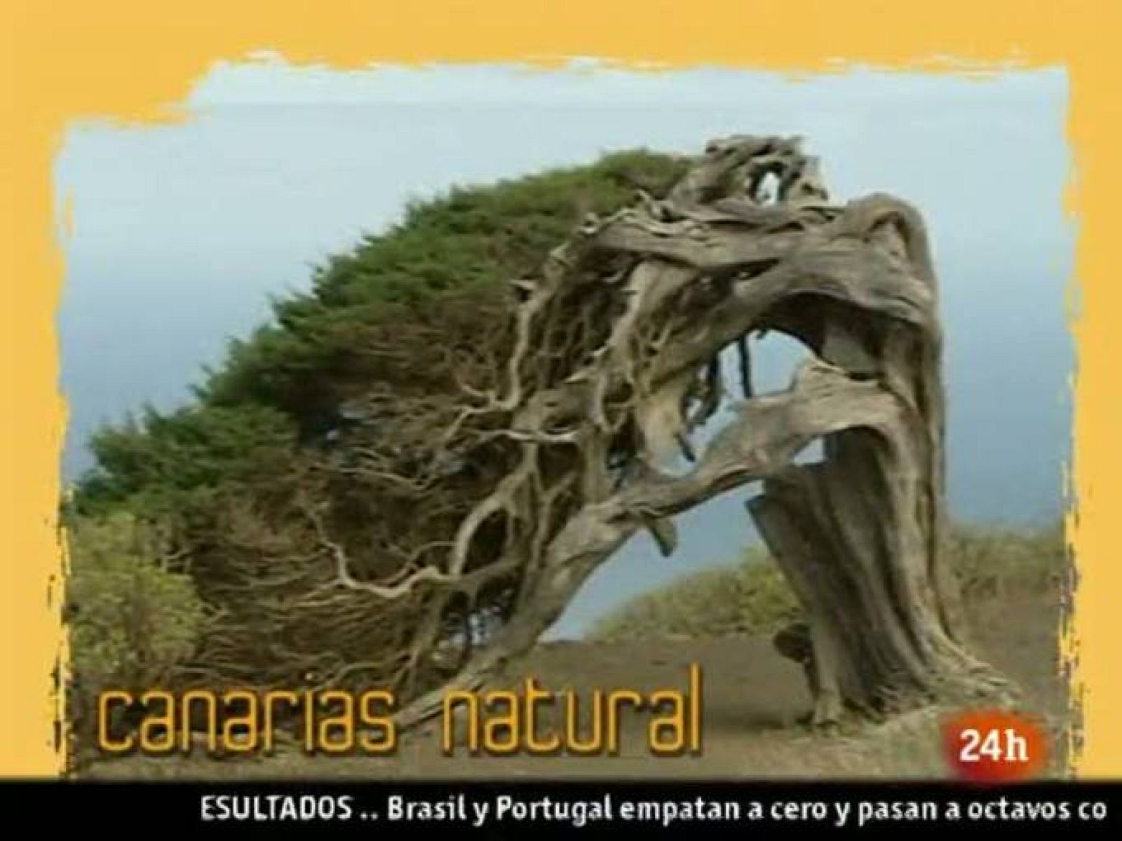 NATURAL: "RECICLETA" (25/06/10)