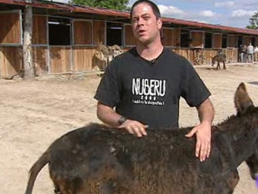  - Con la crisis aumenta el número de animales abandonados