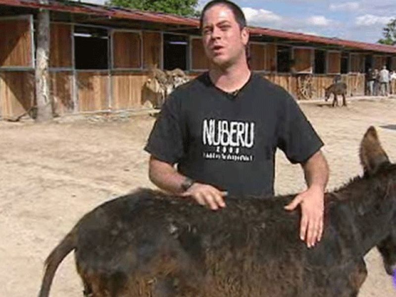 Con la crisis aumenta el número de animales abandonados | Ver