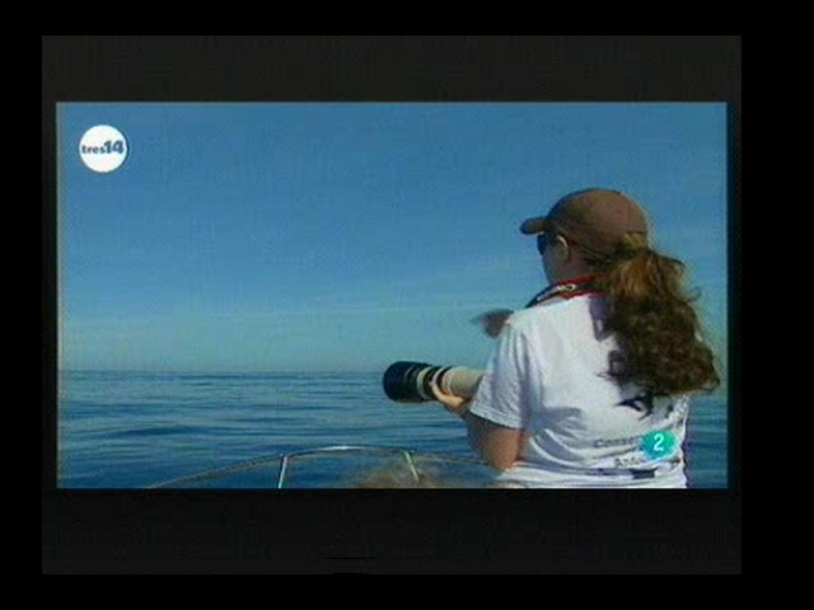 Vacaciones científicas (viajar)