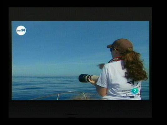 tres14 - Vacaciones científicas