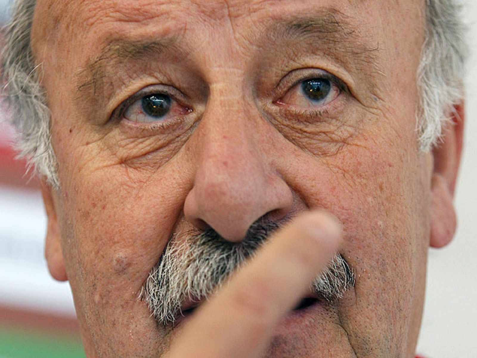 El seleccionador español, Vicente del Bosque, ha asegurado que escucha las críticas, pero que al final el que decide es él, ya que no podría atender a todas las peticiones.