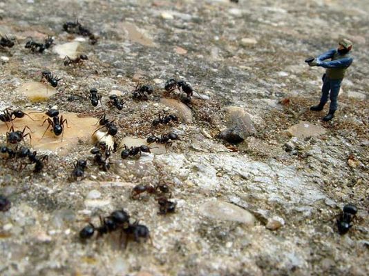  - Las miniaturas de Jong Ki Love