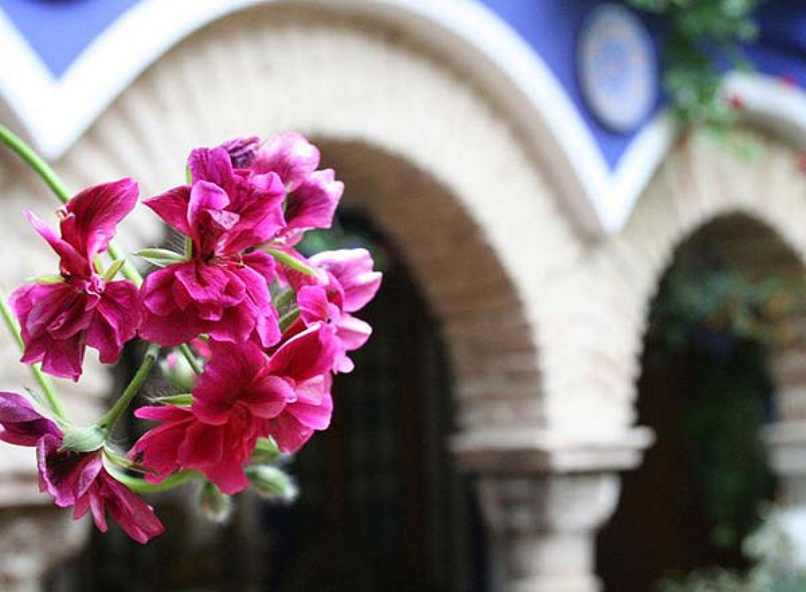 Los patios de Córdoba, atendidos por jóvenes que redimen penas.