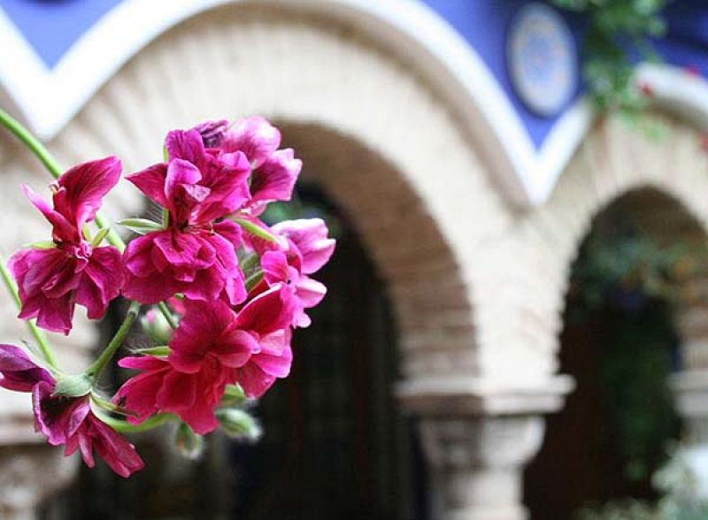 Los patios de Córdoba, atendidos por jóvenes que redimen penas.