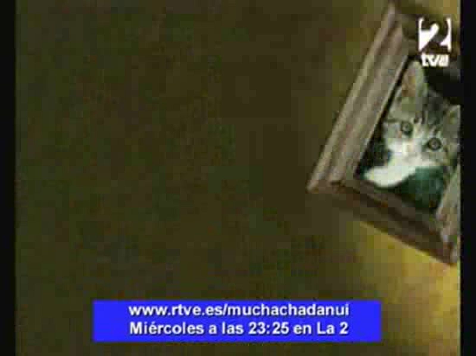 Muchachada Nui - Gaticos y Monetes. Las mejores tomas falsas - Muchachada Nui | Ver