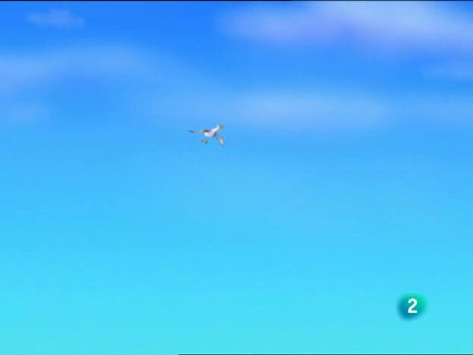 ¡Bucea Olly! - Bucea Olly | Ver