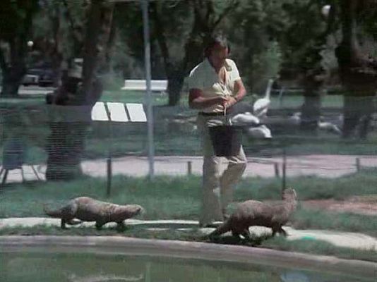 El hombre y la Tierra - El Edén perdido