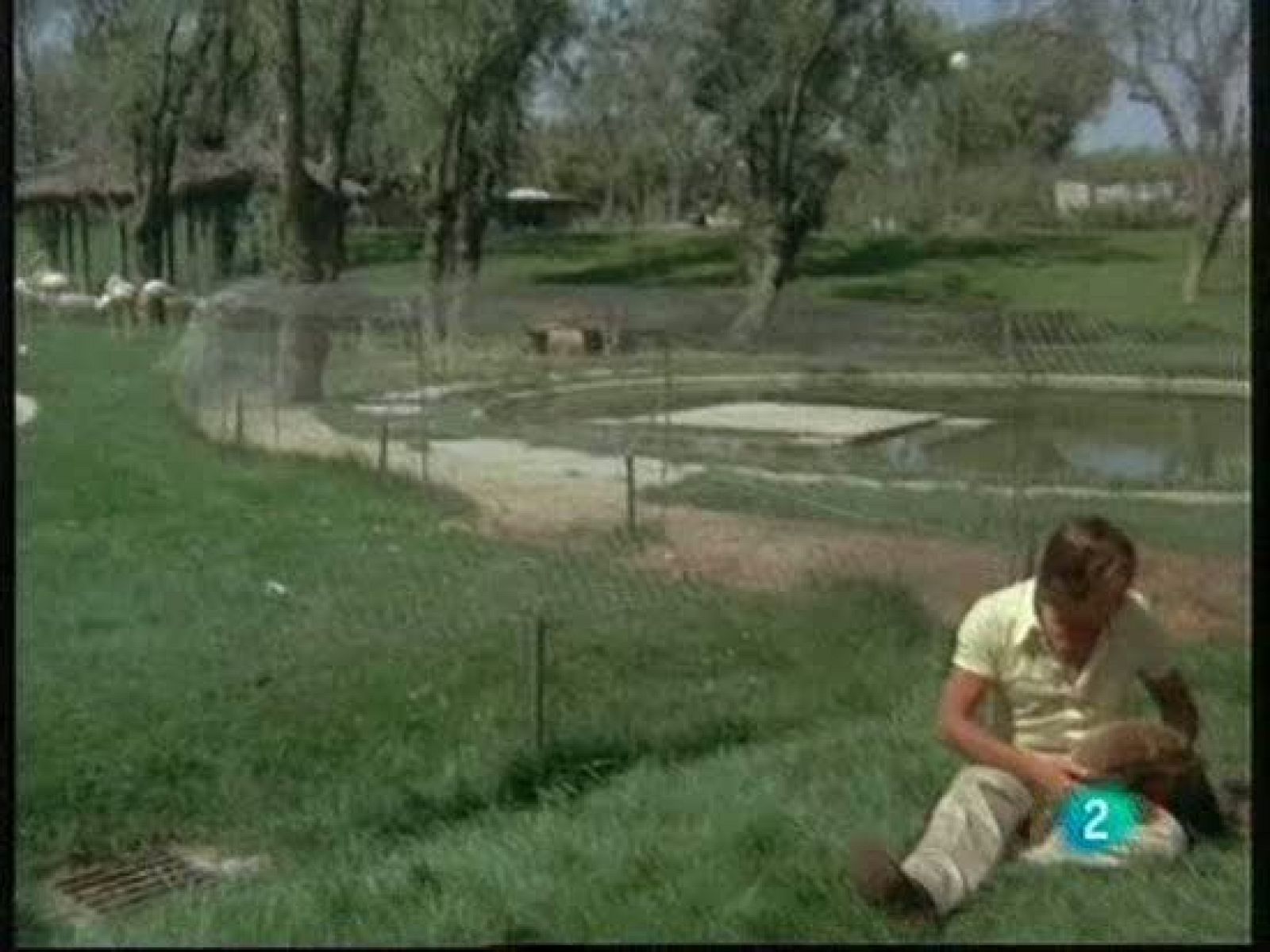 Las nutrias de Félix R. de la Fuente llegan a España