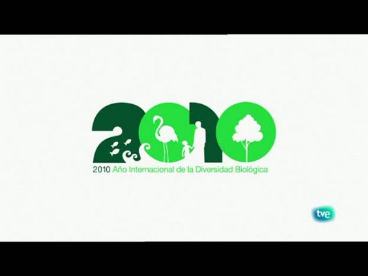 Biodiario - El abejaruco